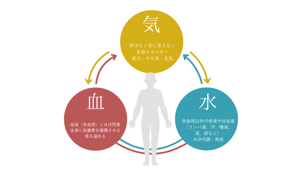 東洋医学では、肌トラブルを体の内側のバランスが崩れることで生じると考えます。漢方では、 「気（エネルギー）」「血（血液の巡り）」「津液（水分代謝）」 の乱れを整え、根本から改善することを重視します。